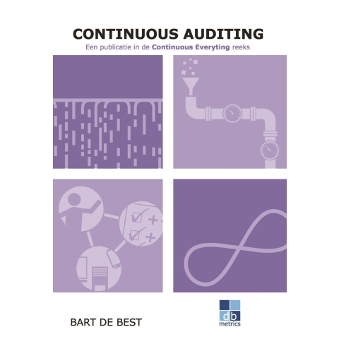 Continuous Auditing (Paperback)