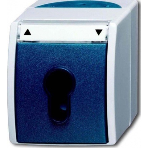 ABB 2CKA001101A0916 Schakelaar IP44 Grijs-wit (RAL 7035), Blauw-groen