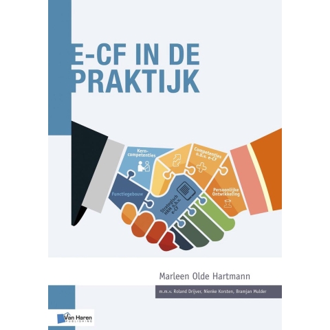 e-CF in de praktijk (Paperback)