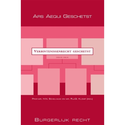 Verbintenissenrecht geschetst (Paperback)