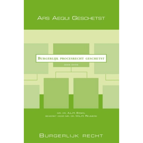 Burgerlijk procesrecht geschetst (Paperback)