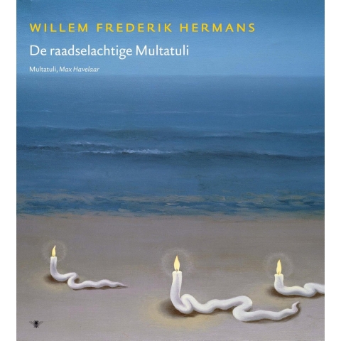 Volledige werken 17 (Hardback)