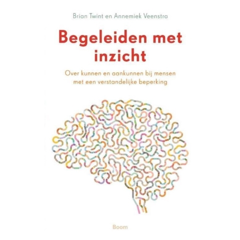 Begeleiden met inzicht (Paperback)