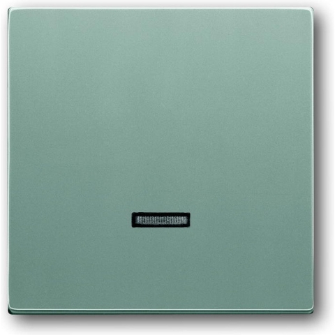 Busch-Jaeger 6543-83-101 Ingangsmodule Zonder opdruk Aluminium, Witaluminium (RAL 9006) 1 stuk(s)