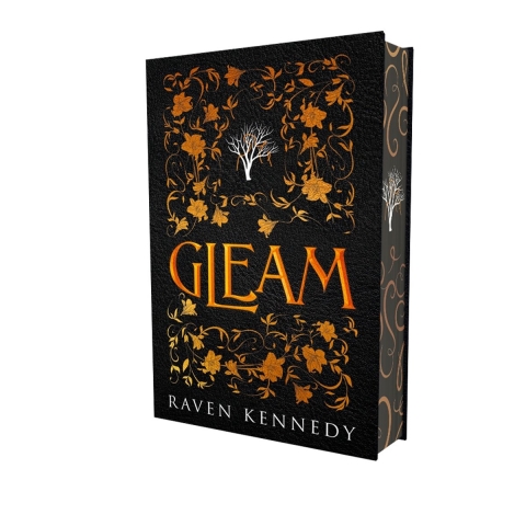 Gleam (Hardback)