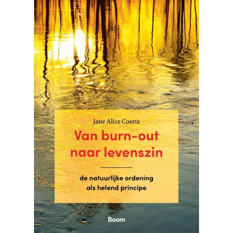 Van burn-out naar levenszin (Paperback)