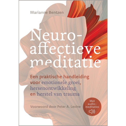 Neuroaffectieve meditatie (Paperback)