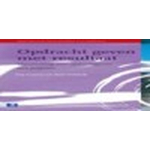 Opdrachtgeven met resultaat (Paperback)