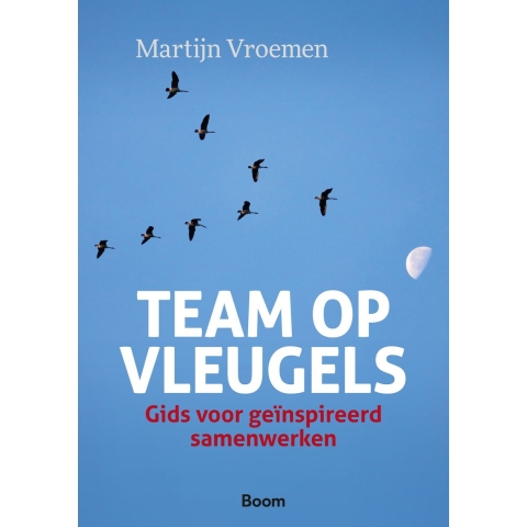 Team op vleugels (Paperback)