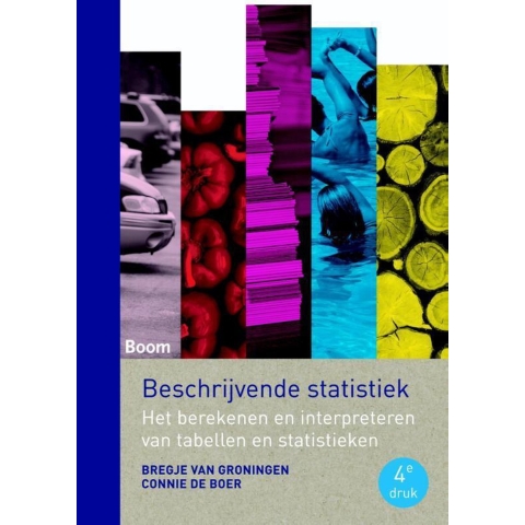 Beschrijvende statistiek (Paperback)