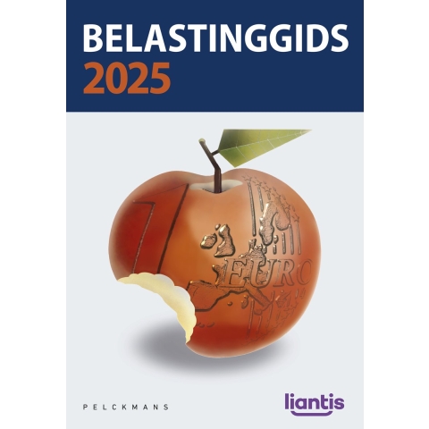Belastinggids 2025 (Paperback)