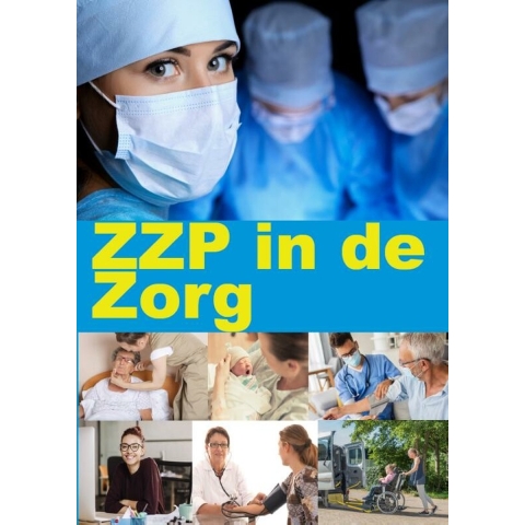 ZZP in de Zorg (Paperback)