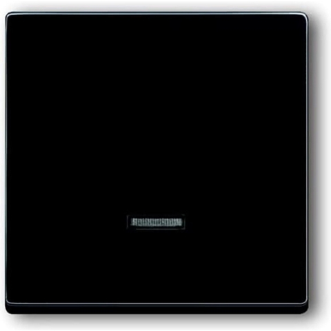 Busch-Jaeger 6543-81-101 Ingangsmodule Zonder opdruk Antraciet, Zwart-grijs 1 stuk(s)
