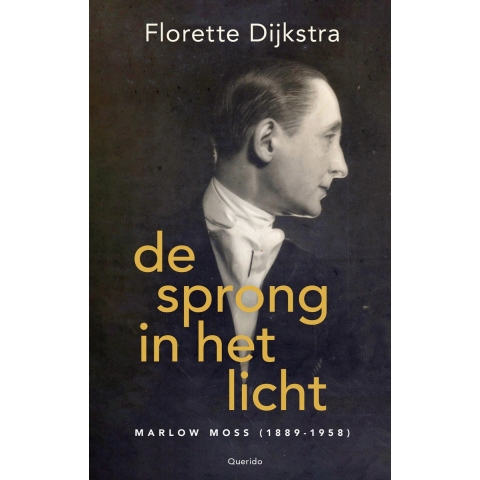 De sprong in het licht (Paperback)
