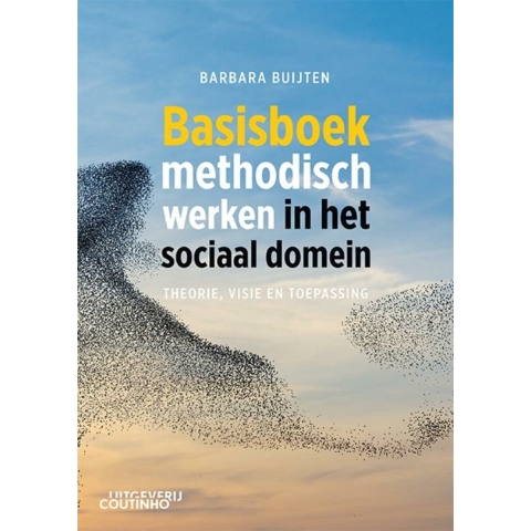Basisboek methodisch werken in het sociaal domein (Paperback)