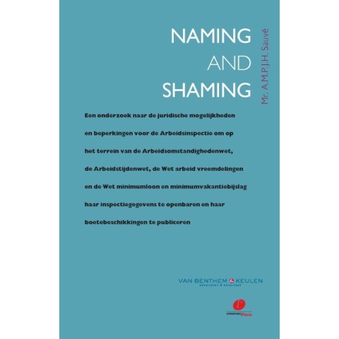 Naming and shaming (Paperback)
