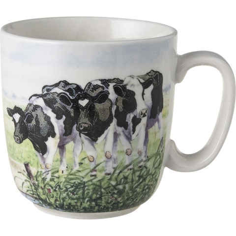 Wiebe van der Zee Mok Nieuwe Buren 6st