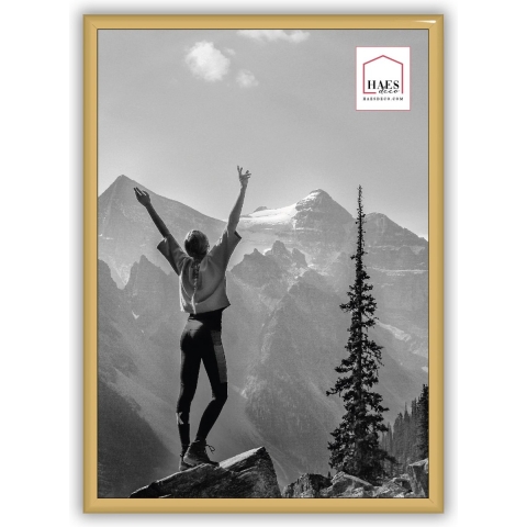 Haes Deco Kunststof Fotolijst EF11G Easy Frame Goud A4 21x29,7 cm