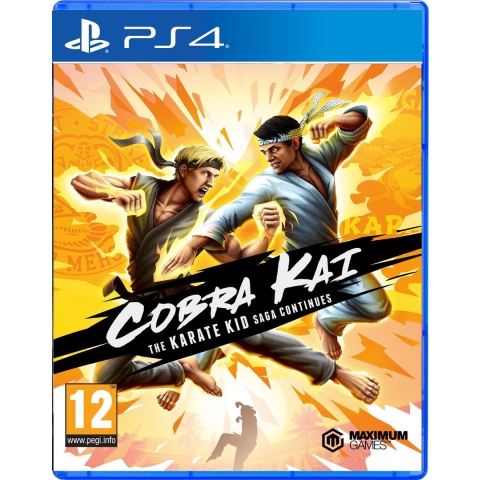 Cobra Kai the Karate Kid Saga Continues