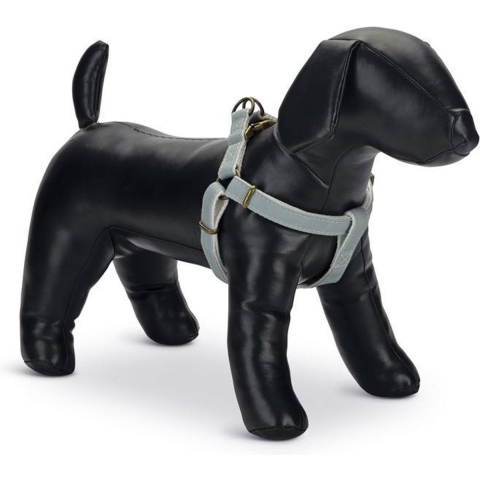 Designed by Lotte Virante - Hondentuig - Mint - 35-60 cm
