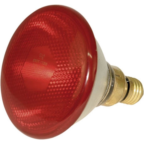 Lamp 175 W Rood Philips Spaar