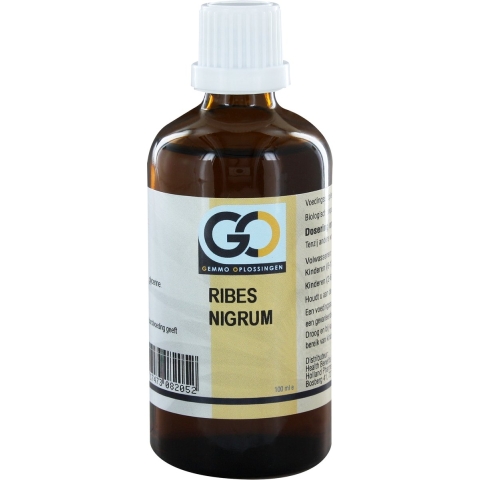 GO Ribes nigrum BIO