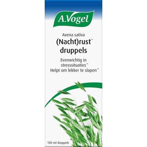 Avena sativa