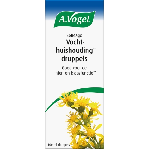 Solidago