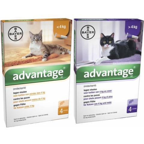 Advantage 40 kat 4 pipetten<4 kg