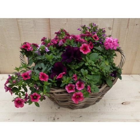 Rieten mand zomerbloeiers roze dia. 30 cm - Warentuin natuurlijk