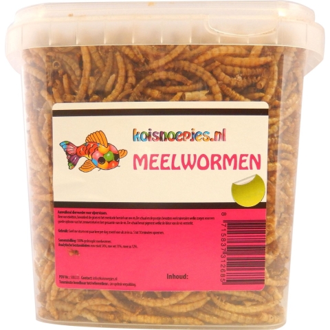 Meelwormen 5 liter - Suren collection