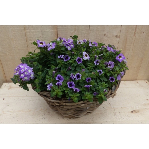 Rieten mand zomerbloeiers paars/blauw dia. 30 cm - Warentuin natuurlijk