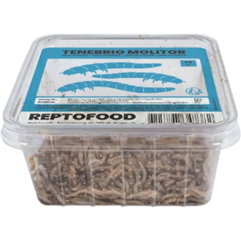 Meelwormen 1kg Reptofood - Aquadistri
