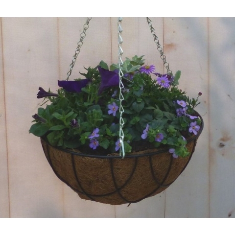 Diverse hangplantjes in kokos hanging basket van paar en blauw - Warentuin natuurlijk