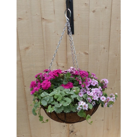 Hanging basket zomerbloeiers roze h25 cm - Warentuin natuurlijk