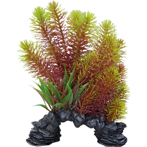 Superfish deco plant l myriophyllum red - Superfish