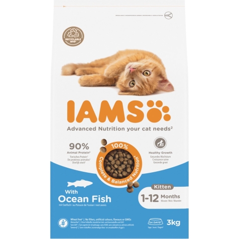 Iams Cat Kitten Ocean Fish 3 kg