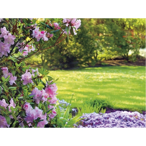 Siertuincompost aarde 40 liter - Warentuin mix