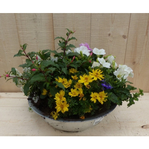 Zinken bak zomerbloeiers kleurenmix dia. 30 cm - Warentuin natuurlijk