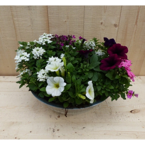 Zinken bak zomerbloeiers wit/roze/paars dia. 30 cm - Warentuin natuurlijk