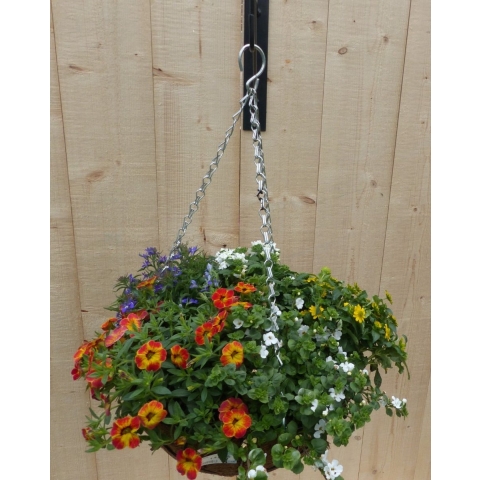Hanging basket zomerbloeiers kleurenmix h25 cm - Warentuin natuurlijk