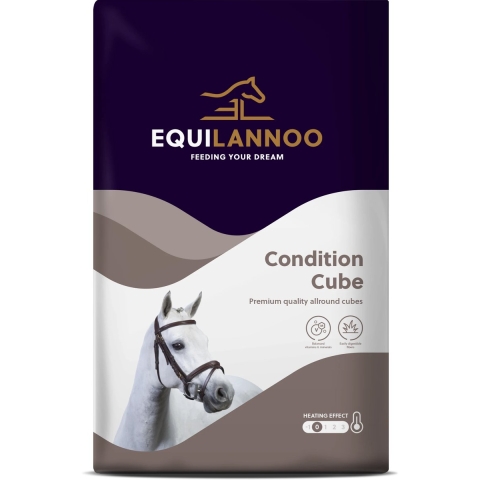Equilannoo Condition Cube 20 kg