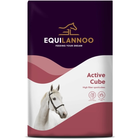 Equilannoo Active Cube 20 kg