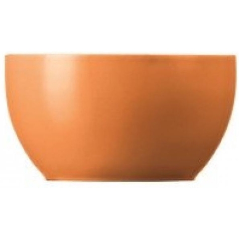 THOMAS - Sunny Day Orange - Suikerbakje 0,25l