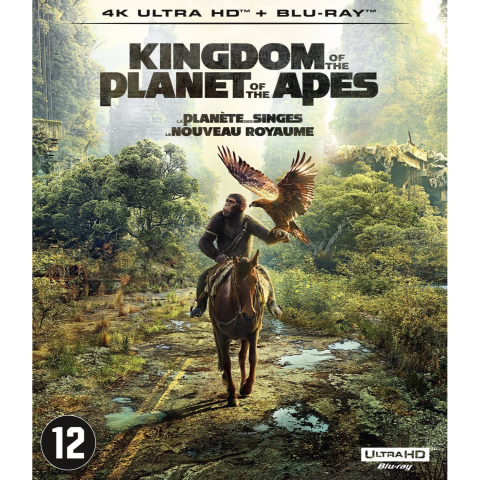 Disney Movies Kingdom Of The Planet Apes