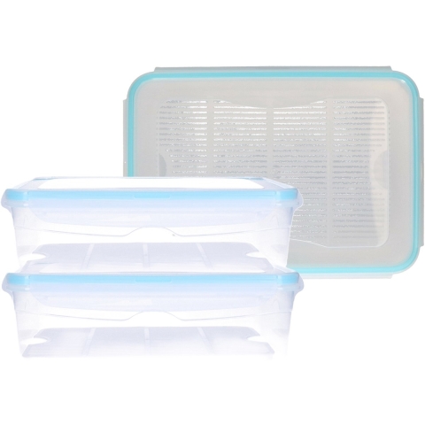 Voorraadbakjes - 3x - met deksel - 2.6 L - bewaarbakjes - mealprep -