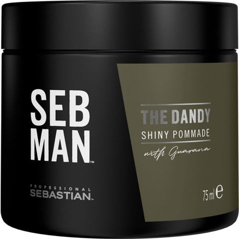 Sebastian Professional SEB MAN The Dandy Pomade 75ml