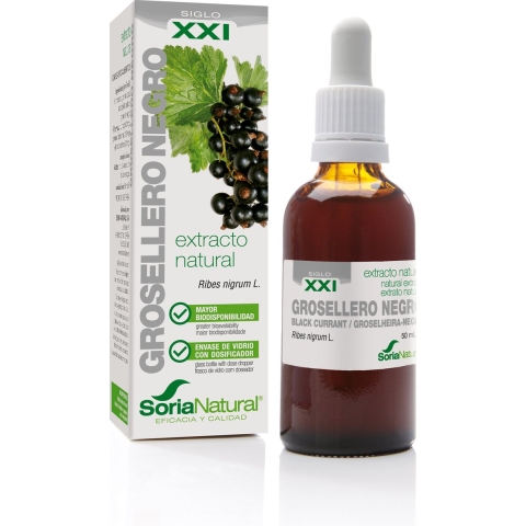 Soria Ribes Nigrum XXI Extract | 50 ml