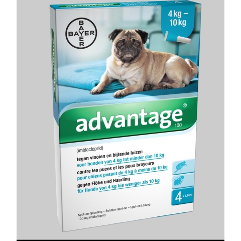 Advantage Dog 100 | 4 x 1,0 ml
