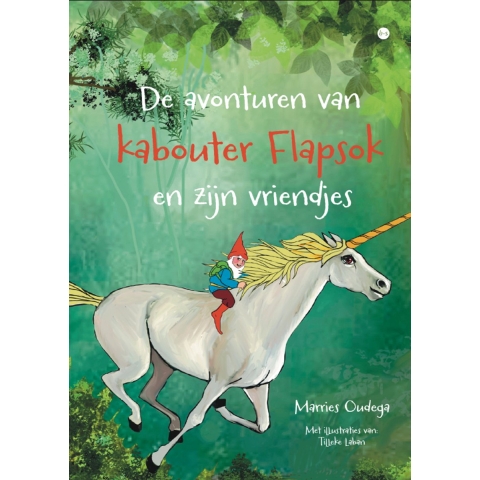 De avonturen van kabouter Flapsok en zijn vriendjes (Hardback)